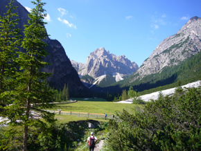 Partenza tra i mughi