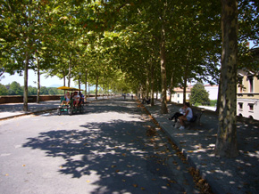 Giro in Bici sulle mura di Lucca
