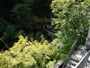 Ponticello