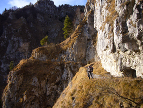Da qui il bosco scompare