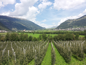 Verso il passo Resia