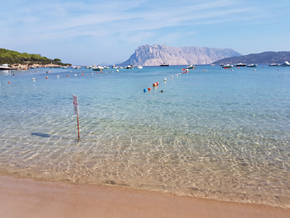 Spiaggia delle Farfalle