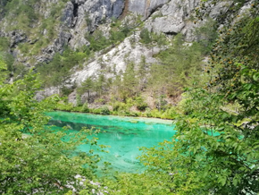 Acque verdi rubino