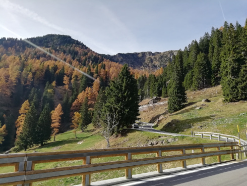 Ora si fa tosta