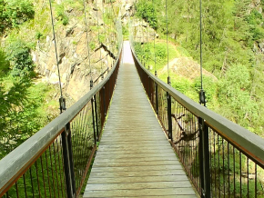 Ponti sospesi