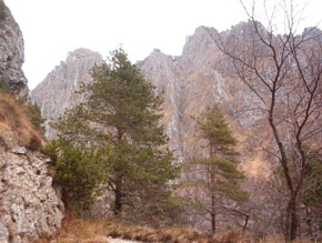 Le montagne circostanti