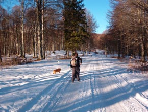 La neve