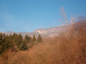 Discesa
