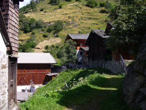 Il maso Wald